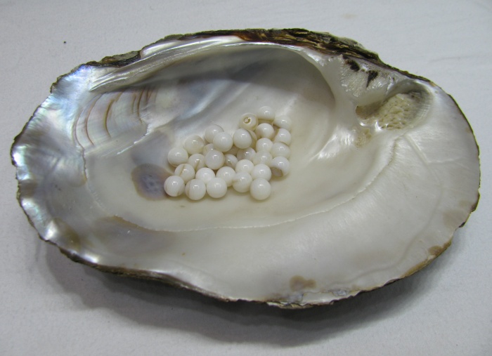 kulki wycięte z muszli